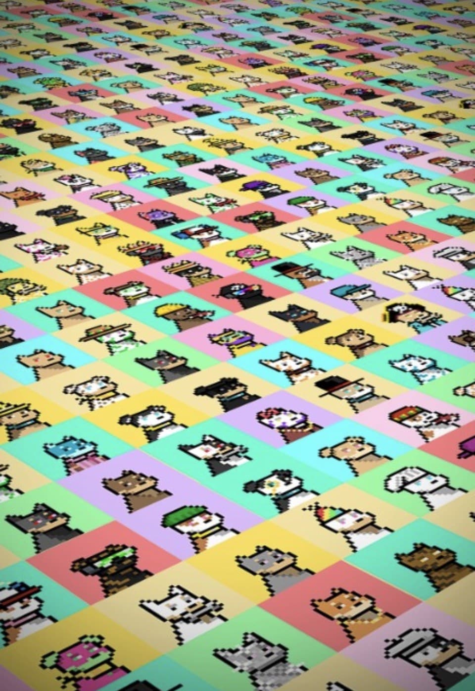A field of Doginal Dogs pixel portraits on colored tiles
